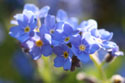 Slideshow 1